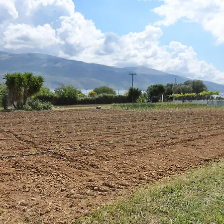 Апартаменты Meadow House *