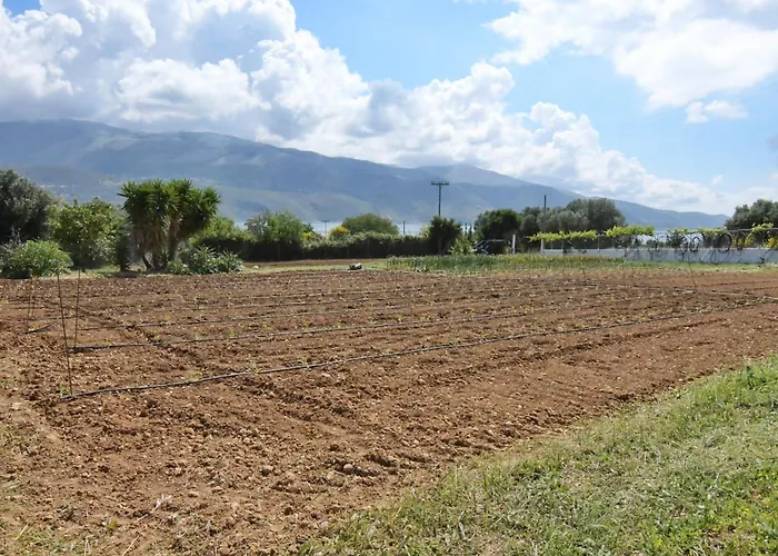 Appartamento Meadow House *